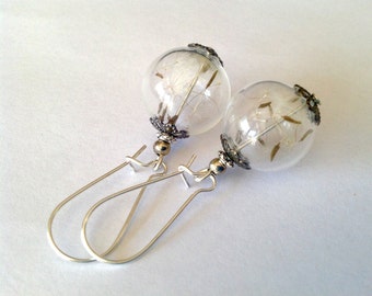 Pendientes de semillas de diente de león auténticas: Mini joyería de terrario
