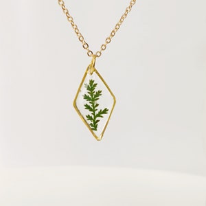Gold Halskette mit echtem gepresstem Farnblatt in Harz Muttertagsgeschenk für Mutter Terrarium Schmuck Botanischer Schmuck