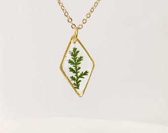 Goldkette mit echtem gepressten Farnblatt in Resin Muttertag Geschenk für Mama Terrarium Schmuck Botanischer Schmuck