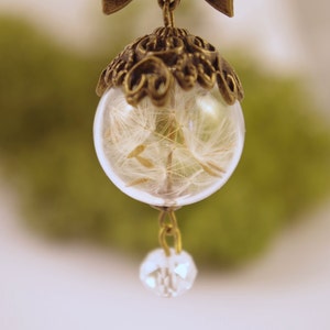 Anhänger Pusteblume Samen Echte Pusteblume Halskette Terrarium Schmuck Echte Blume Schmuck Natur Halskette Pusteblumen Wunsch Halskette Weihnachten