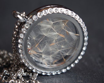 Dandelion Necklace Glass Locket Necklace Real Dandelion Necklace Dandelion Jewelry Nature Necklace Botanical Necklace Terrarium Anniversary