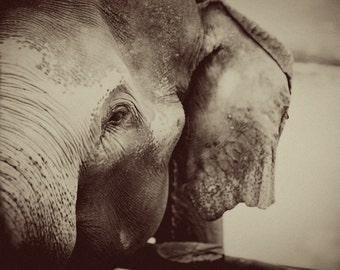 Thai elephant photo print, Sepia photo, Travel photography, Wall art, Wall decor, Kids rooms