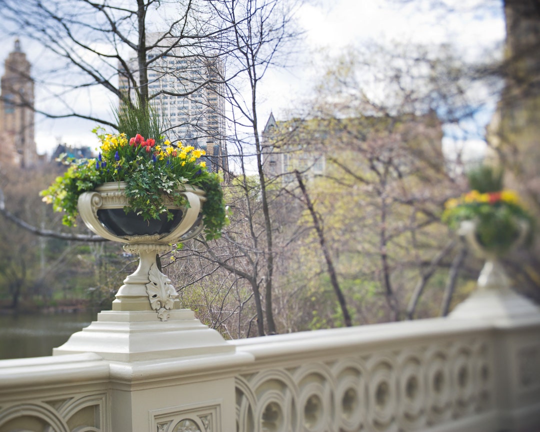 Bow Bridge Central Park Springtime Photo Print: NYC Travel Photography ...