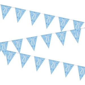 9ft Blue & Silver 21st Birthday Bunting, 21st Birthday Decorations, 21st Birthday Banner, 21st Birthday Party Decorations, Birthday Garland