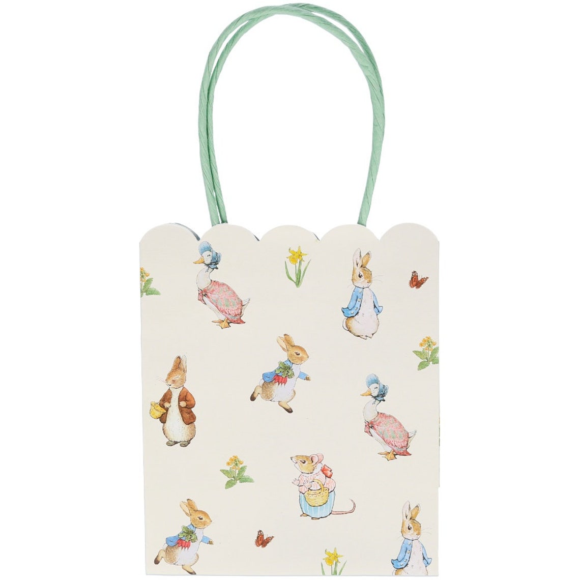8 Peter Rabbit Party Bags Birthday Party Favour Bags Etsy