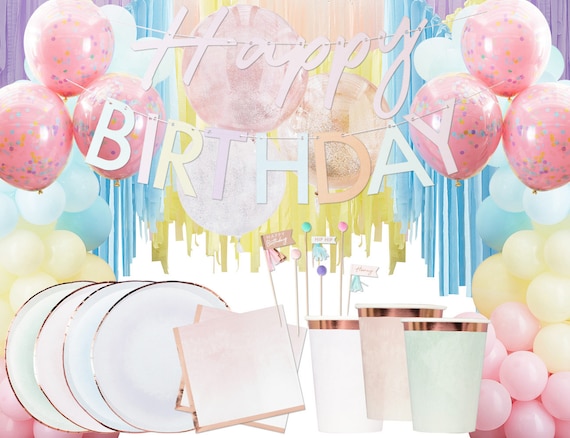 Fun and Flex Pastel Birthday Decorations Combo Kit With Net