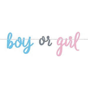 7ft Boy or Girl Gender Reveal Banner, Boy or Girl Banner, Gender Reveal Decor, Neutral Baby Shower Decor, Gender Reveal Party Decorations