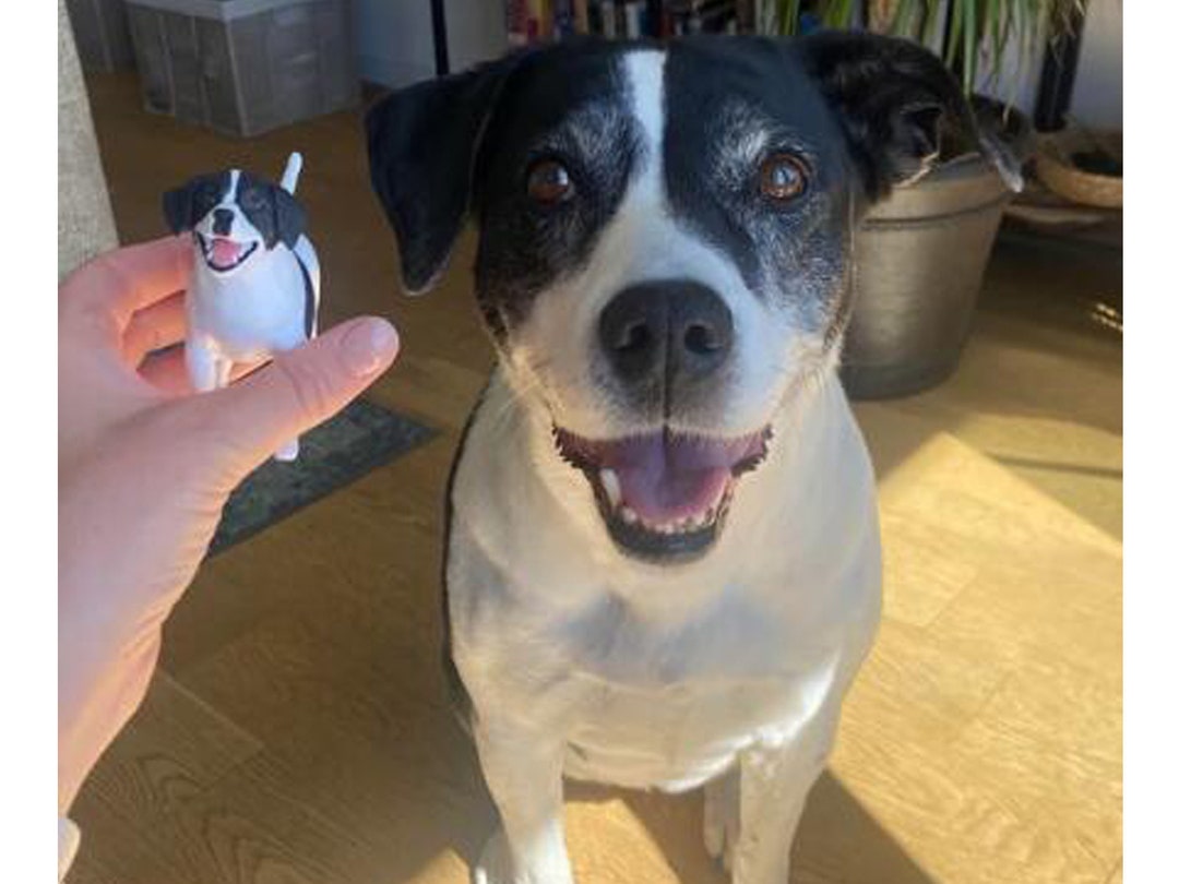 Personalized Pet Cake Topper: Custom Dog or Cat Miniature Figurine - Etsy