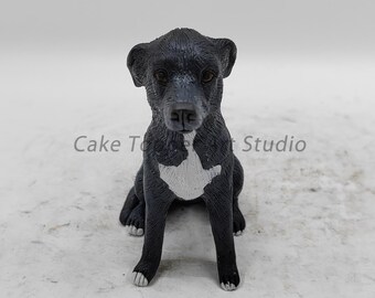 Topo de bolo de casamento personalizado para animais de estimação: estatueta personalizada de cão e gato