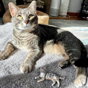 パーソナライズされたカスタムペット犬のウェディングケーキトッパー、ペットの誕生日、猫のケーキトッパーミニチュア、記念日のペット、ペットトッパー、クリスマストッパーのお土産