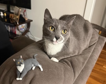 Topo de bolo de casamento personalizado para animais de estimação: estatueta personalizada de cão e gato