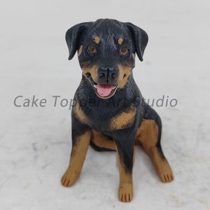 Personalized custom dog，Pets Birthday，Anniversary pet， wedding cake topper , pet CakeTopper，cat caketopper , dog Figurines，Dogs birthday
