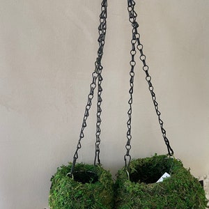Moss ball set of small and large