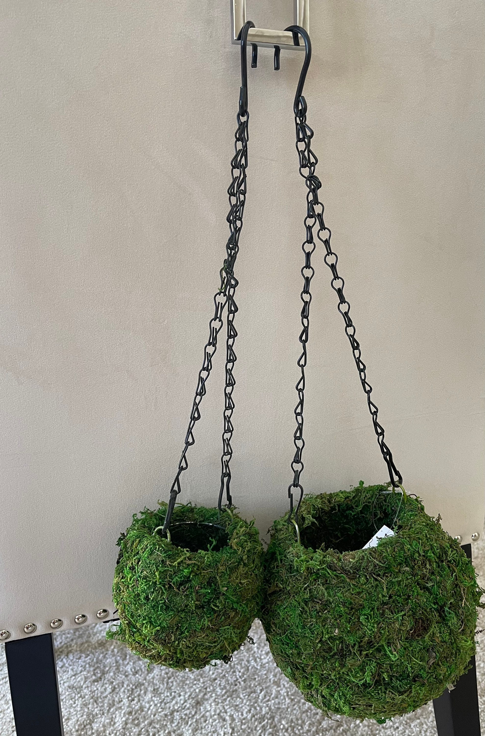 Moss Ball Set of Small and Large - Etsy