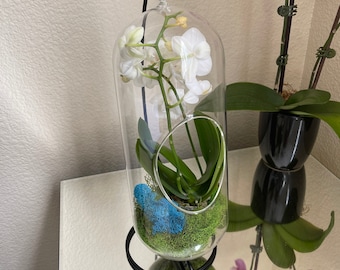 Orchid Terrarium With Stand