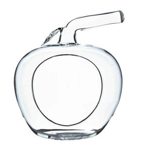 Apple shaped glass terrarium pack of 2