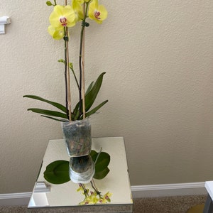 Yellow Large orchid