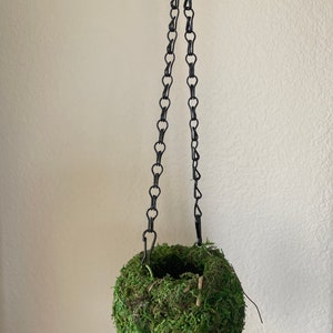 Hanging Moss Ball