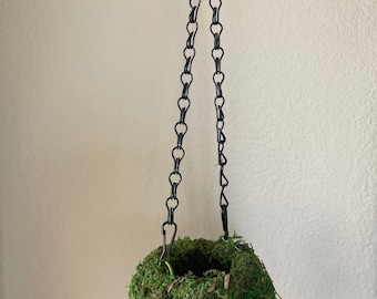 Hanging Moss Ball