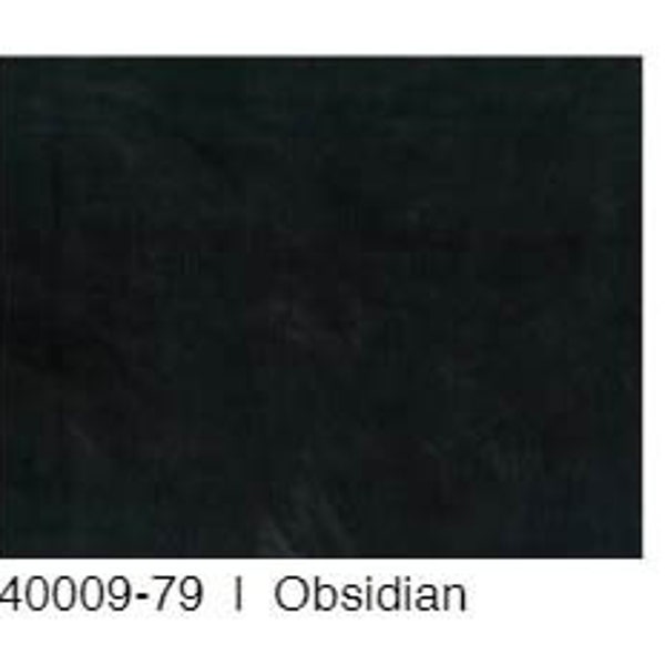 Plaster of Paris 40009-79 Obsidian Daydreamin' Striking Textured High Intensity Colors Hand Painted Artwork Frond Design Studio Northcott