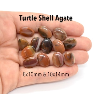 Puede incluir: Una mano sosteniendo un montón de piedras de ágata de caparazón de tortuga ovaladas, marrones y naranjas. Las piedras miden aproximadamente 8x10 mm y 10x14 mm. Ágata de caparazón de tortuga.