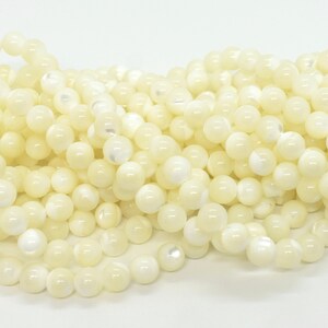 May include: A strand of white and cream colored round shell beads. The beads have a smooth, polished finish.