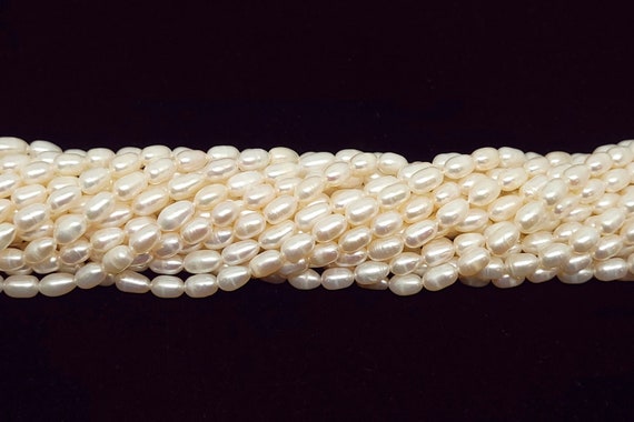 White 5mm x 7mm Oval Rice Freshwater Pearl Beads, Cream/Ivory Oval Genuine  Pearl Beads, Rice Shaped Pearl Beads for Jewelry Making