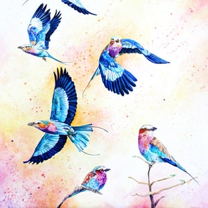 May include: A watercolor painting of six lilac-breasted rollers, a type of bird, in flight. The birds are painted in shades of blue, purple, and pink against a white background with yellow and orange splatters.