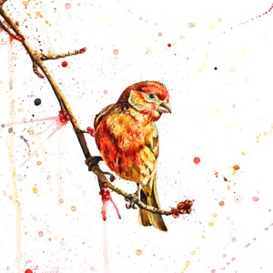 Red Finch Watercolor Painting: Songbird Art Print (Digital Download)