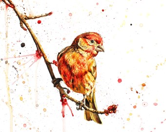 Cute Watercolor Painting of a Red Finch, Songbird art & paintings, Print for Download, Digital Print, Fine Art Gift for Her of Songbirds