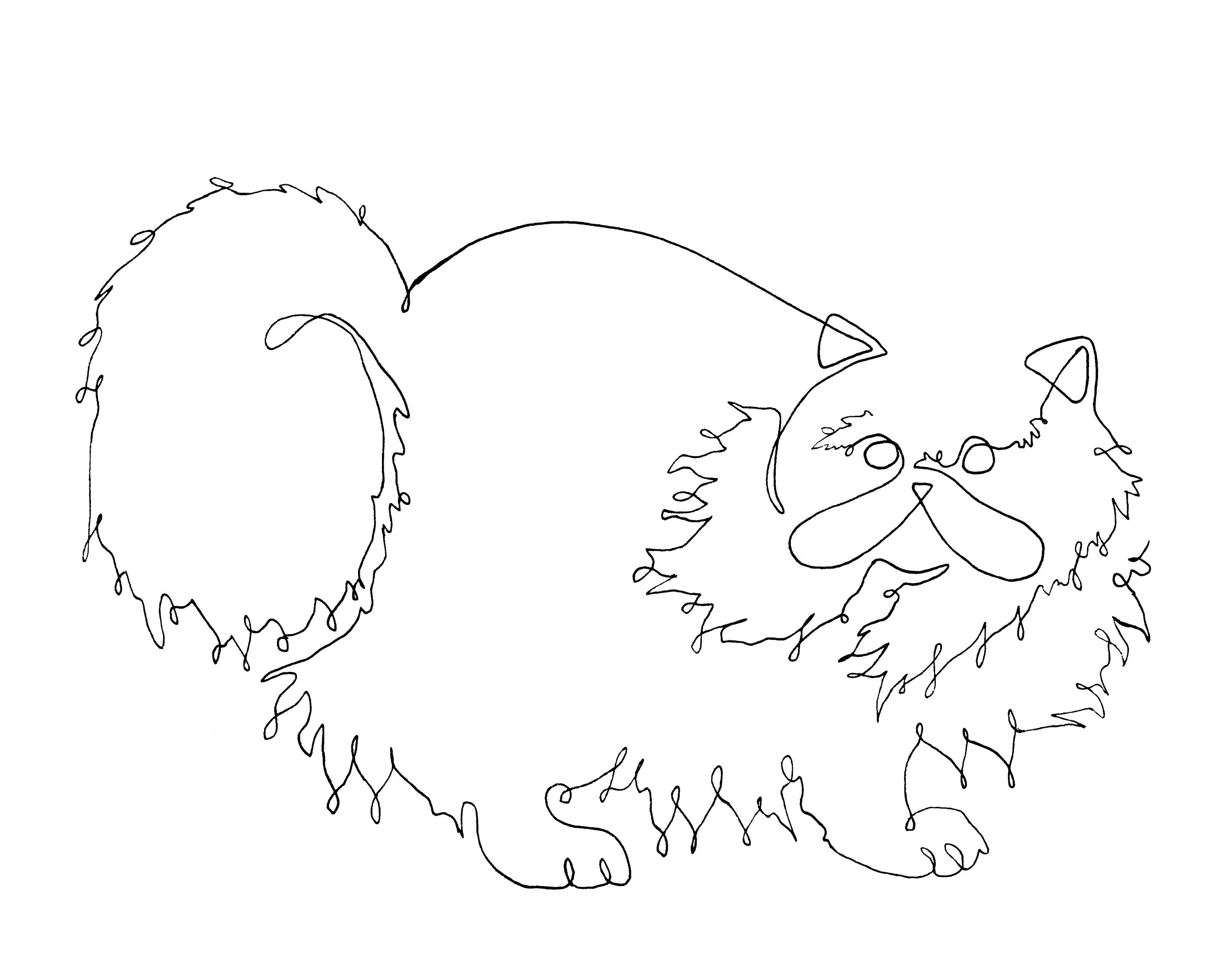 line-drawing-of-persian-cat-pet-line-art-print-simple-pen-drawing-of