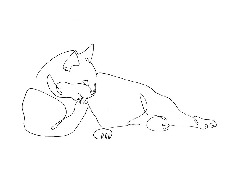 Single Line Drawing of Cat Cleaning Paw, Fine Art Print of Kitty