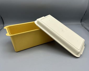 Caixa de Pão Tupperware Vtg 171-5 e Tampa 172-2 Harvest Gold Almond Kitchen Camping