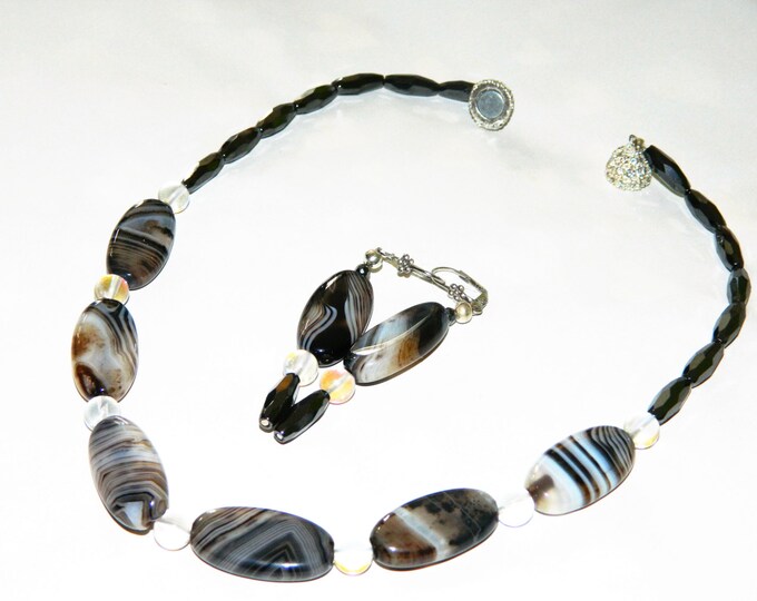 Agate Zebra is in the House