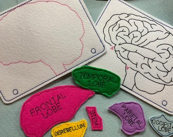 Brain Anatomy and finger tracing maze