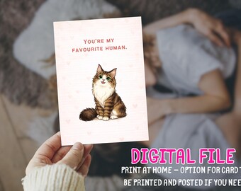 Cute Cat Valentine's Day Card Printable You're my favourite human Funny Love Digital Instant Download