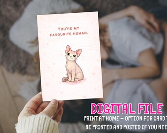 Cute Cat Valentine's Day Card Printable You're my favourite human Funny Love Digital Instant Download