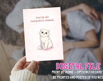 Cute Cat Valentine's Day Card Printable You're my favourite human Funny Love Digital Instant Download