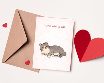 I Like You A Lot Cat Valentine's Day Card | Cute Funny Love Greeting