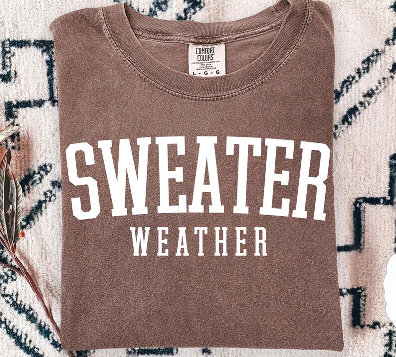 May include: A brown short-sleeved t-shirt with a crew neckline. The shirt features the white text "SWEATER WEATHER" printed in a bold, arched font across the chest. A white tag inside the collar displays the brand name Comfort Colors and size L-G-G.