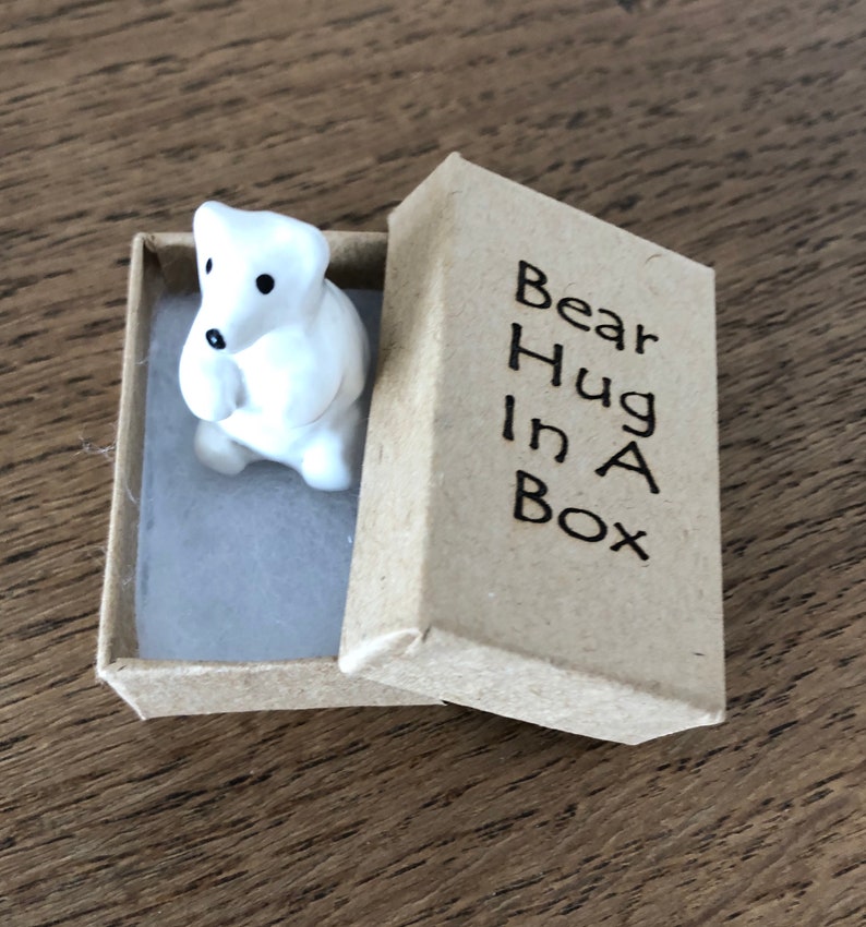 Sending A Hug Bear Hug in a Box Support Love Gift Special Etsy