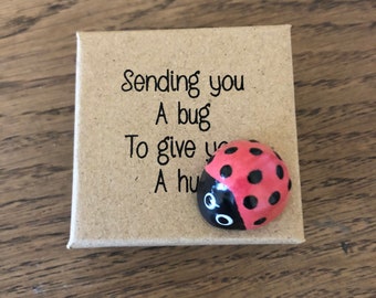 Ladybird Gift, Sending Hugs,  Hug in a Box, Support, Special Unusual Gift, Inspiration, Motivation, Unique Unusual Gift