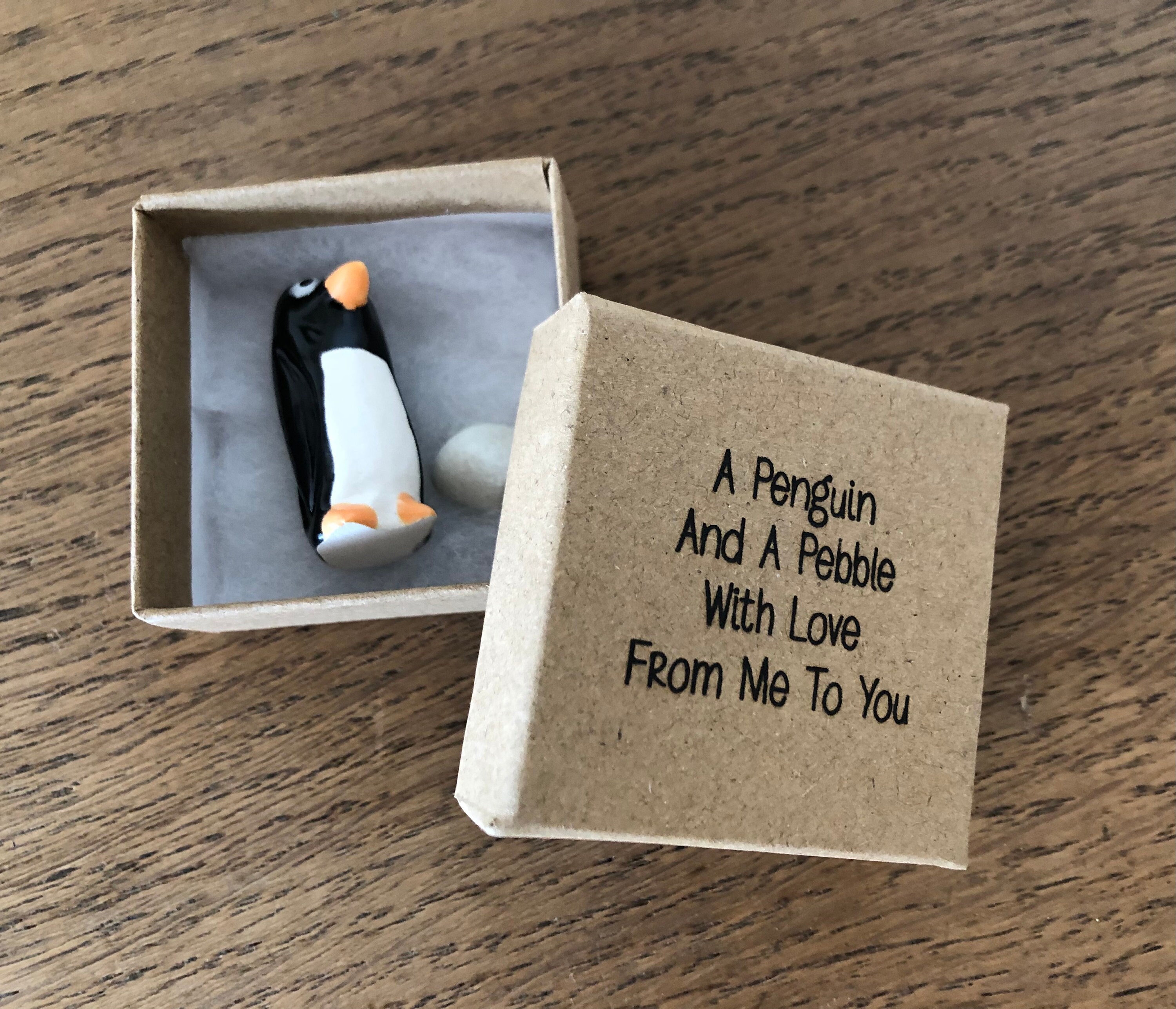 Penguin Pebble Proposal: A Unique Approach to Sustainable Innovation