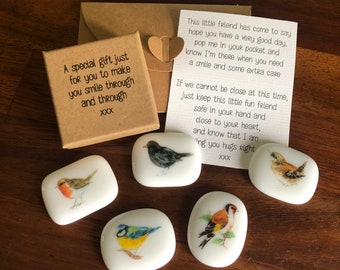 Bird Gift, Sending Love, GARDEN BIRDS - Robin, Blackbird, Blue Tit, Goldfinch -  Support, Unique Unusual Gift