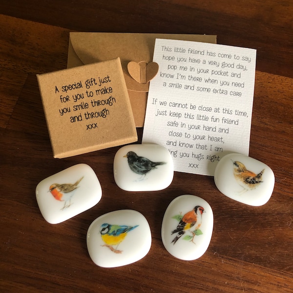 Bird Gift, Sending Love, GARDEN BIRDS - Robin, Blackbird, Blue Tit, Goldfinch -  Support, Unique Unusual Gift