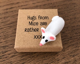 Mouse Gift Hug, Hug in a Box, Pocket Hug, Support, Special Unusual Gift, Motivation, Unique Unusual Gift