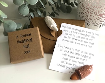 Hedgehog Gift Sending Hugs Message Special Unusual Gift, Inspiration, Motivation, Unique Unusual Gift