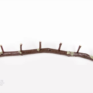 Upstate Design & Vintage Studio handcrafted coat racks. Materials from nature reveals amazing shapes, textures and colors. &quot;PARK ROW&quot;