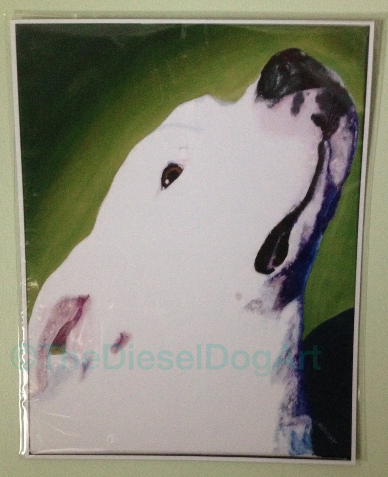 White Pitbull American Bulldog pet portrait art print 11x14