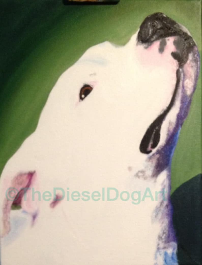 White Pitbull American Bulldog pet portrait art print 11x14